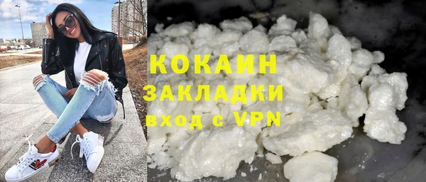 шишки Верхний Тагил