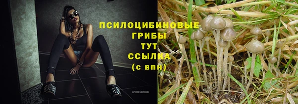 гидра Балабаново