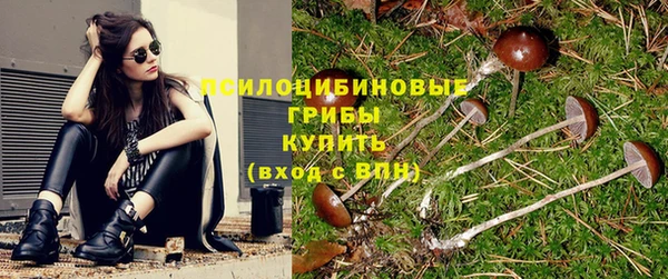 гидра Балабаново