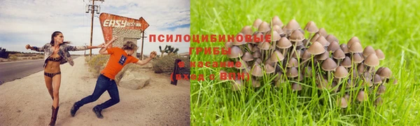 гидра Балабаново