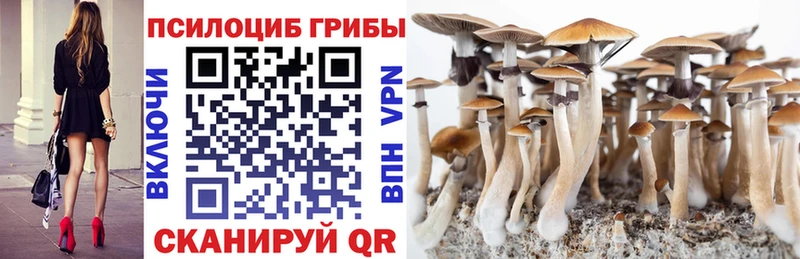 мега как зайти закладки Лосино-Петровский Псилоцибиновые грибы мухоморы